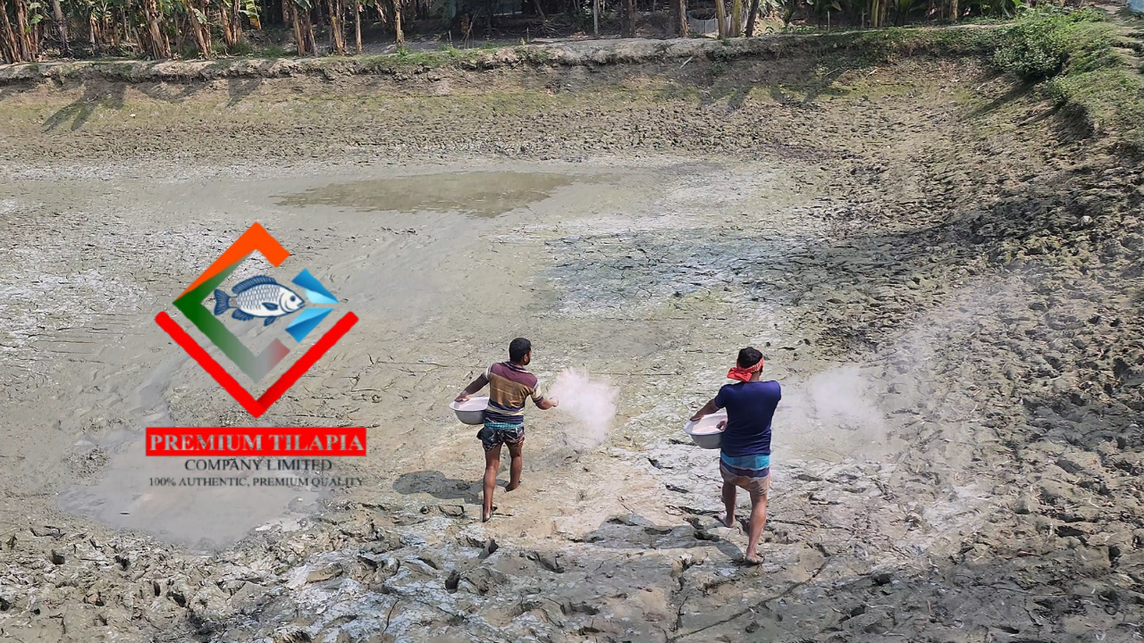 মাছ চাষে লবণ ব্যবহারের নিয়ম ও সতর্কতা
