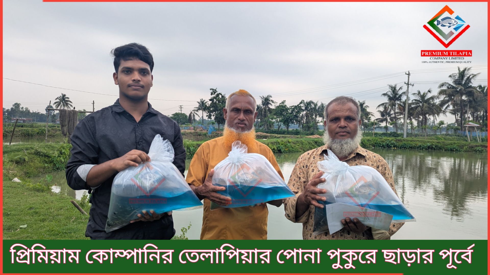 পুকুরে পোনা ছাড়ার পূর্বে ও পোনা ছাড়ার সময় জরুরি সতর্কতা